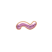 224