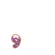 245
