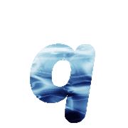 204