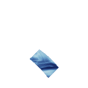 256