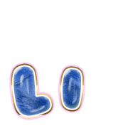 048