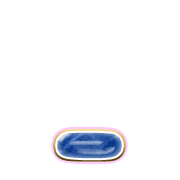 250