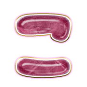 010