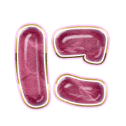 022