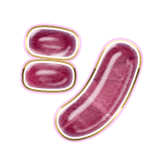 092