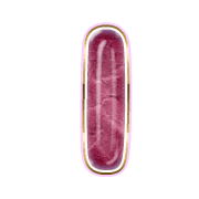 242