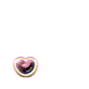 246