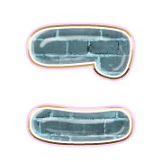 010