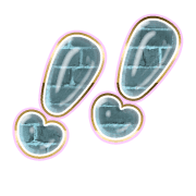 268