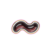 224