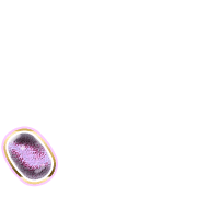 256