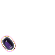 256