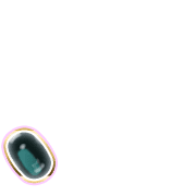 256