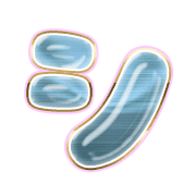 092