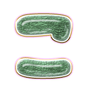 010