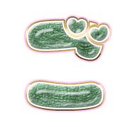 060