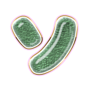 095