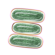 112