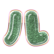 121