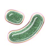 126
