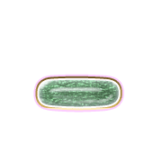 161