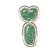 196