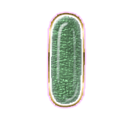 199