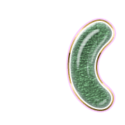 234