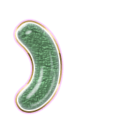235