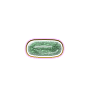 251