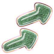 271
