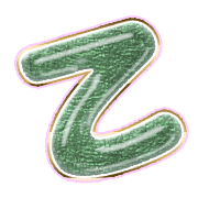 305