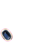 256