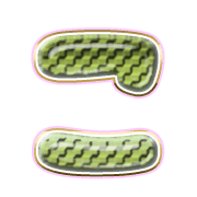 010