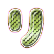 120