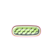 161