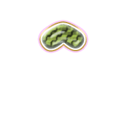 231