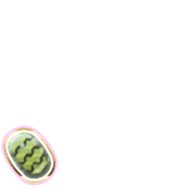 256