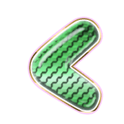 008