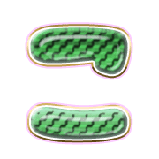 010