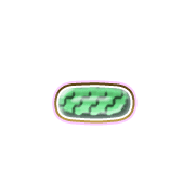 251