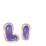 048