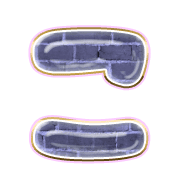 010