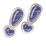 268