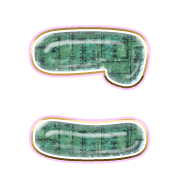 010