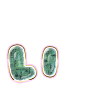 048