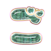 060