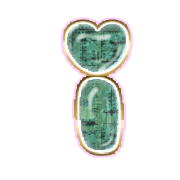 196
