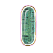 199
