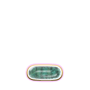 250